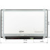 Матрица 15.6" B156HTN03.8 (1920*1080, 30pin(eDP), LED, SLIM(вертикальные ушки), матовая, разъем справа внизу) для ноутбука